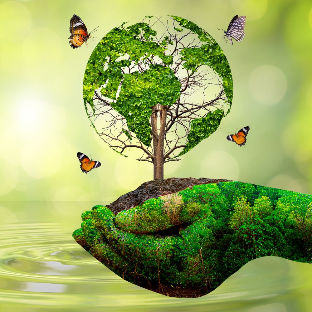 Solutions écologiques